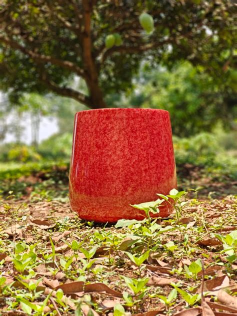 Pearl Like Planters – IronRoots