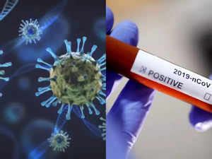 COVID-19: Covid-19: India reports 743 new cases, seven deaths - The ...