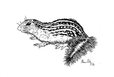 Image result for Squirrel Flight Sim Tutorials No. 9