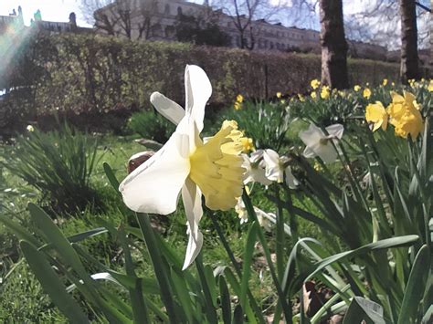 Image result for Main Menu Redmi Note 8T