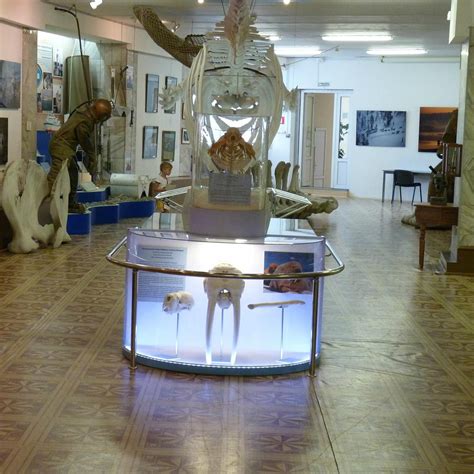 MUSEUM OF THE INSTITUTE OF THE SEA BIOLOGY (2025) All You Need to Know ...