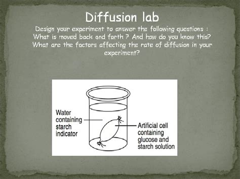 Image result for Easy Diffusion Experiments