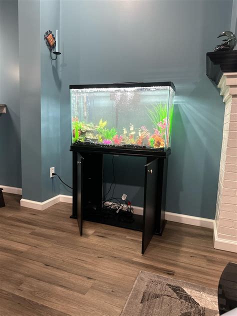 35 gallon tank setup for chiclids : r/Aquariums