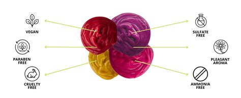 Paradyes Ammonia Free Comrii Purple Semi-permanent Hair Color ...