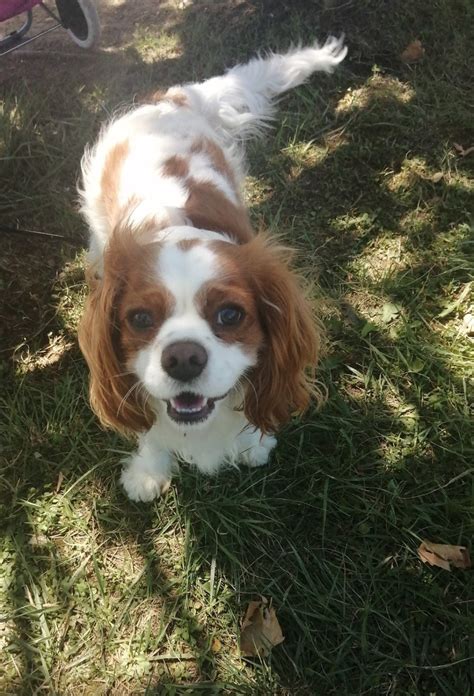 Noah's Ark, Auch: Information, Tickets and Reviews