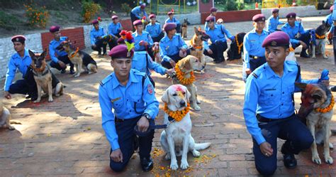 [In pictures] Nepal thanks its pet dogs as part of five-day Tihar festival