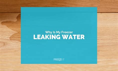 Freezer Leaking 的图像结果