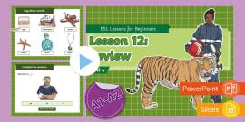 ESL Curriculum Level 4, Lesson 3