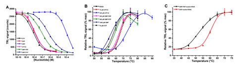 Thermal Shift Assay for Small GTPase Stability Screening: Evaluation ...