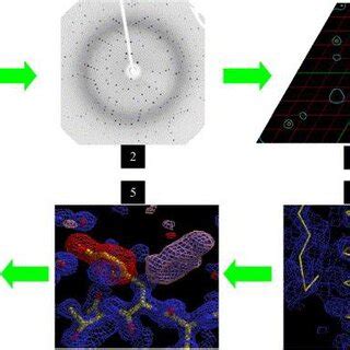 Image result for Protein Crystallization Protocol