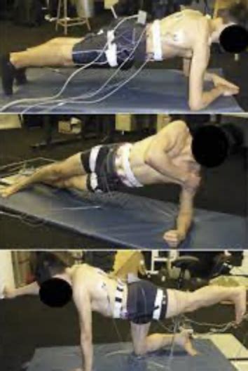 Image result for Pallof Press Anti-Rotation