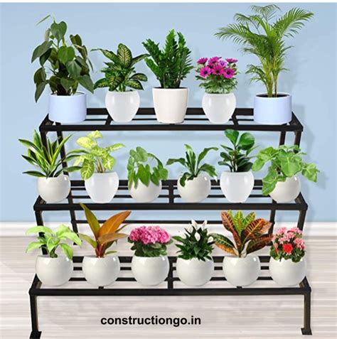 5 Best Way to Keep Indoor Plants - ConstructionGo – Construction Tips ...