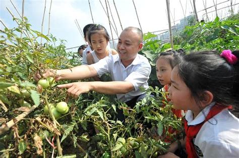 广西南宁：“空中菜园” 带给孩子快乐成长
