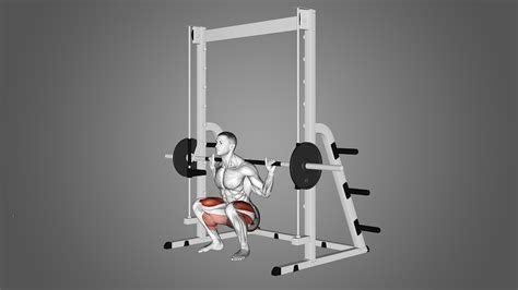 Smith Machine Alternative at Virginia Nealon blog