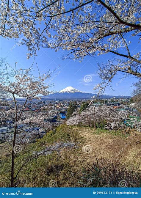 Japan View 的图像结果