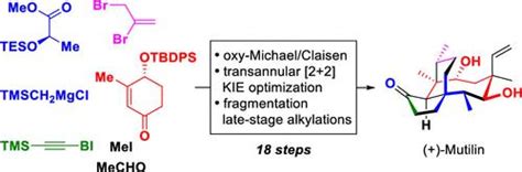 Mutlinomial 的图像结果