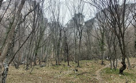 BOIKA MOUNTAIN RANGE (2026) All You Need to Know BEFORE You Go (with ...