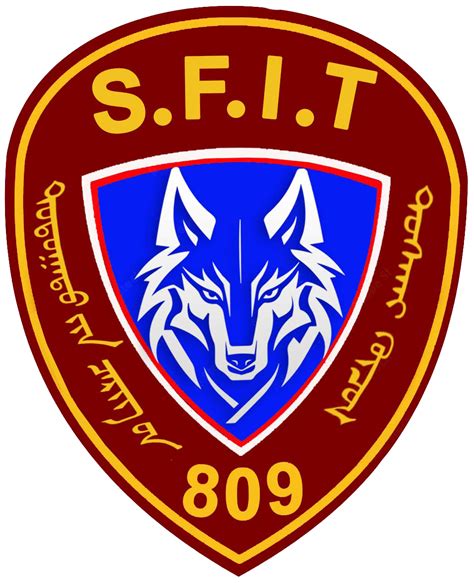 Дотоодын цэргийн 809 дүгээр анги