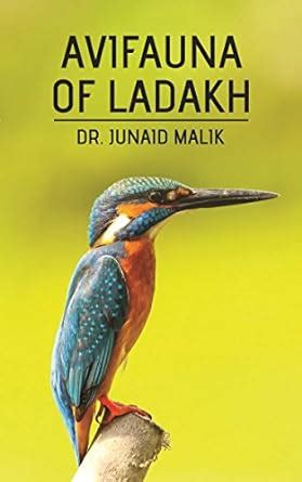 Amazon.in: Buy Avifauna of Ladakh English Book Online at Low Prices in ...
