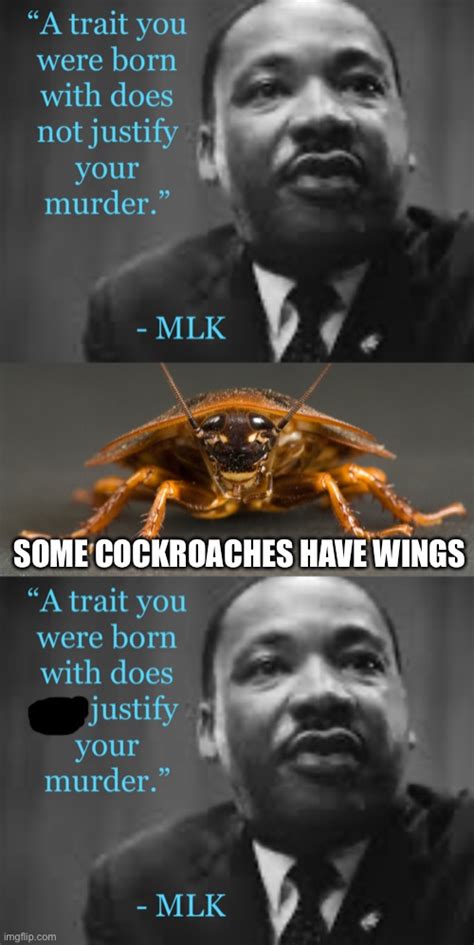 Flying Cockroach Meme 的图像结果