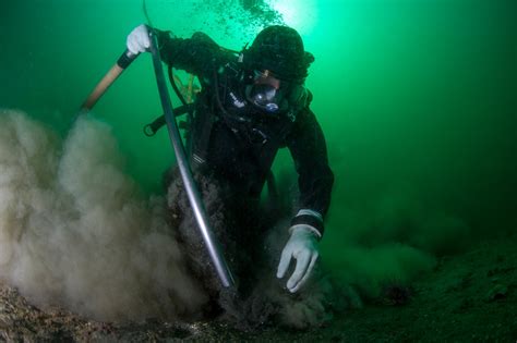 Image result for Geoduck Digging