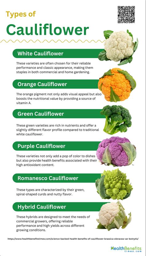 Science backed health benefits of Cauliflower (Brassica oleracea var ...