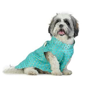 Barks & Wags Pet Sherwani – Royal Silk Fabric Ethnic Wear for Weddings ...