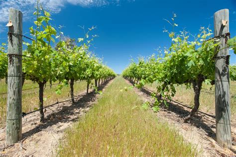 Things to do in Margaret River 2026 | Pelago by Singapore Airlines