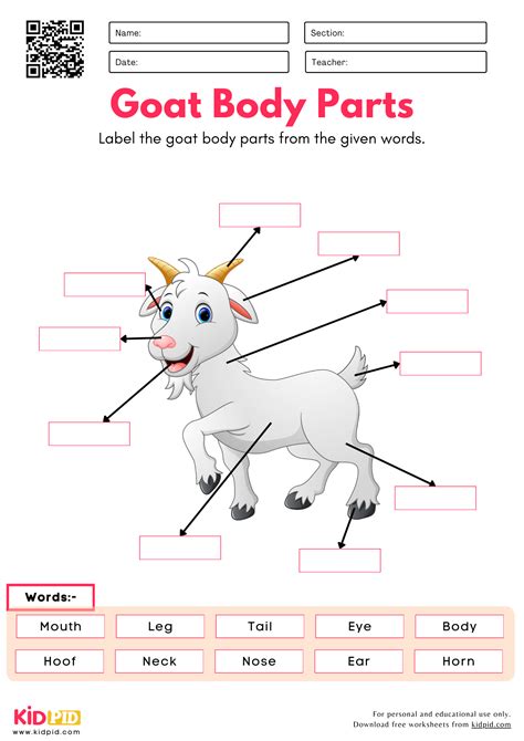 Label the Goat Body Parts Worksheet - Kidpid