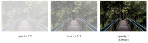 CSS Transparent Background