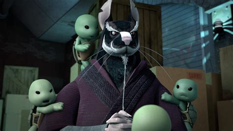 Image result for Master Splinter Fly