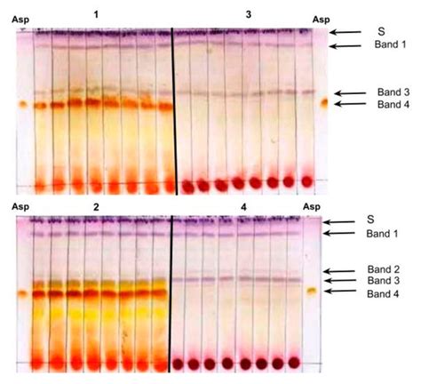 Visualization of Aspalathin in Rooibos (Aspalathus linearis) Plant and ...