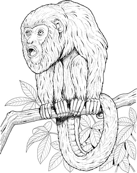 21+ Monkey Coloring Pages Free Background - Color Pages Collection