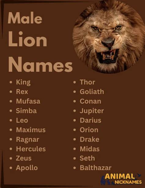 Lion Colour Name In English