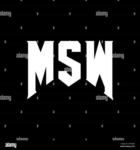 Image result for MSW Computer