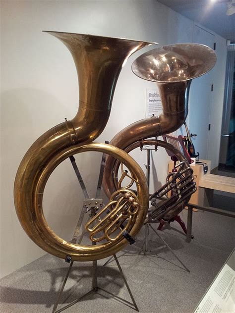 Tuba Vs Sousaphone at Elijah Gannon blog