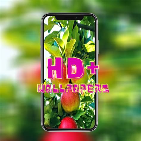 4K Apple Wallpaper - App on Amazon Appstore