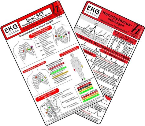 Amazon.in: Buy EKG Basic Set (2er Set) - Herzrhythmusstörungen, EKG ...