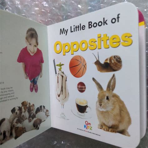 My Little Book of Opposites – We Are Turners