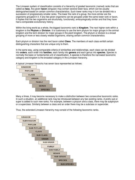 Image result for Linnaean Hierarchy Explained