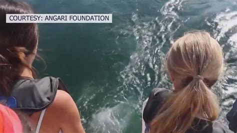 USF's marine science summer camp empowers young women | FOX 13 Tampa Bay