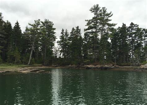 Mount Desert Campground Camping | The Dyrt