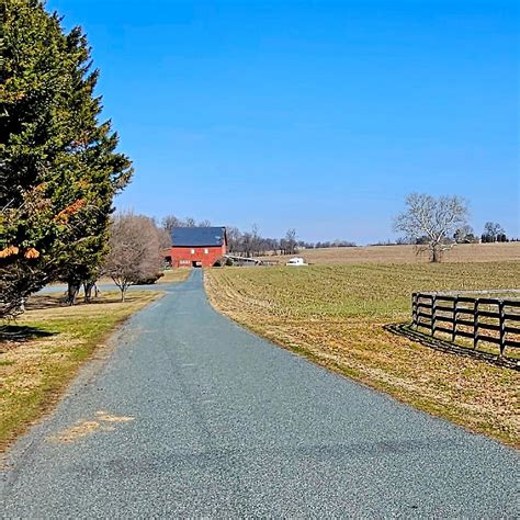 FRANCIS SILVER PARK: Tutto quello che c'è da sapere (2025)