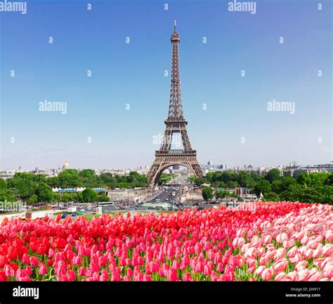 Paris 的图像结果