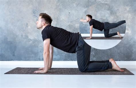 Image result for Daily Lower Back Exercises