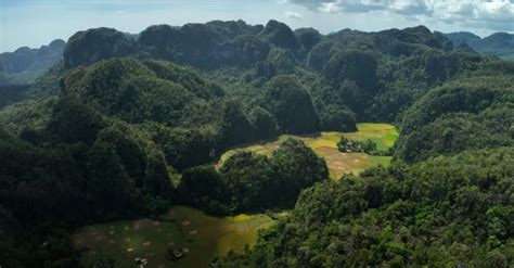 In an Indonesian cave, researchers discovered the breathtaking sight of ...