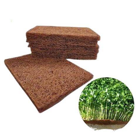 Cloudx Coir Coco Coir Microgreens Grow Mat Sheet 10 x 20 inches (2 ...