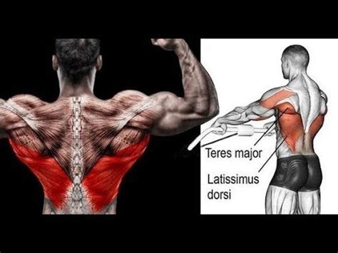 Image result for Cable Row Variations