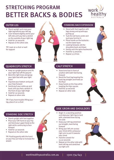 Stretching Work Out 的图像结果