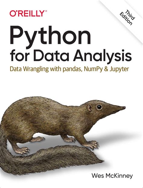 Image result for Python for Data Analysis Book